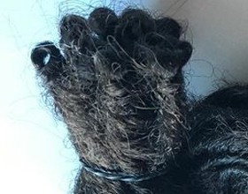 Ciocche di dreads